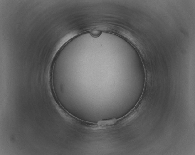 X0000116581426200912241645