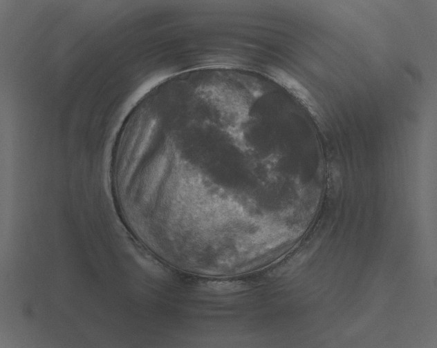 X0000116581427200912241645