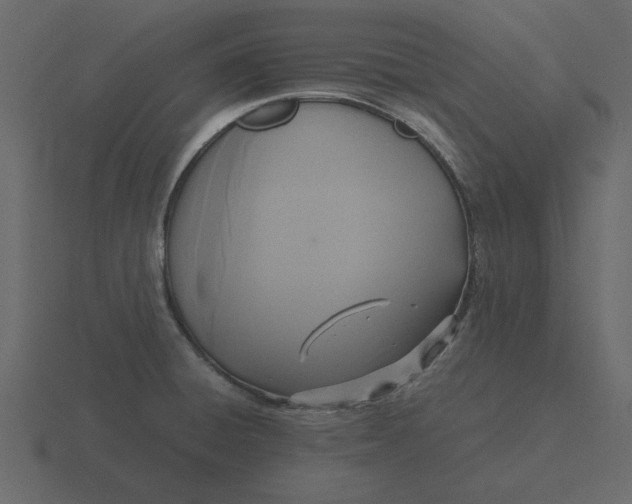 X0000116581428200912241645