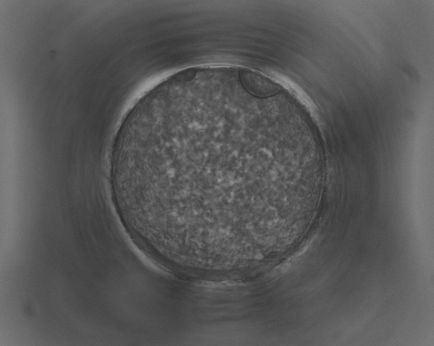 X0000116581429200912241645