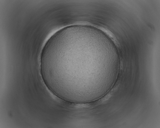 X0000116581430200912241645