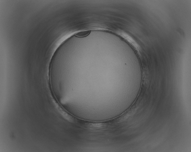 X0000116581431200912241645