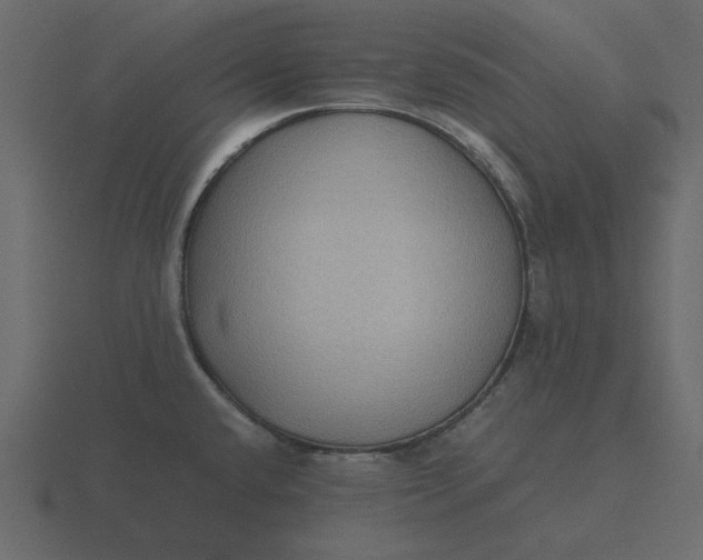 X0000116581432200912241645