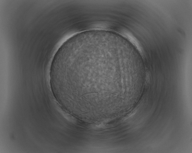 X0000116581435200912241645