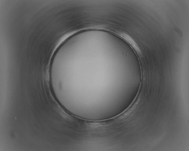 X0000116581436200912241645