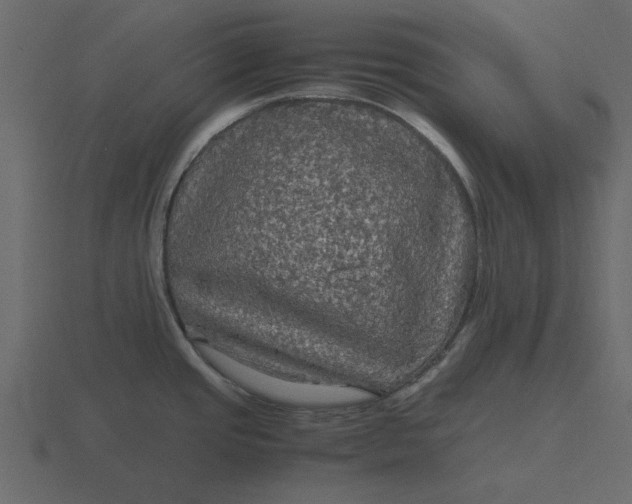 X0000116581437200912241645