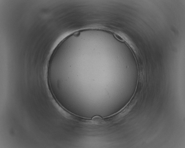 X0000116581438200912241645