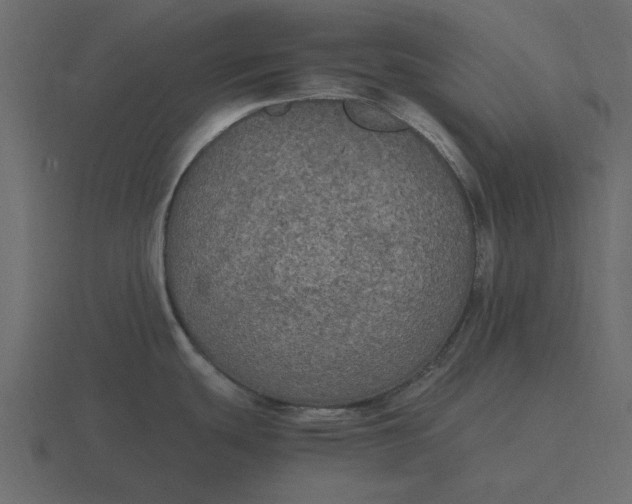 X0000116581439200912241645