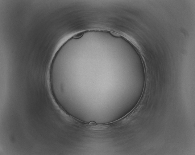 X0000116581440200912241645