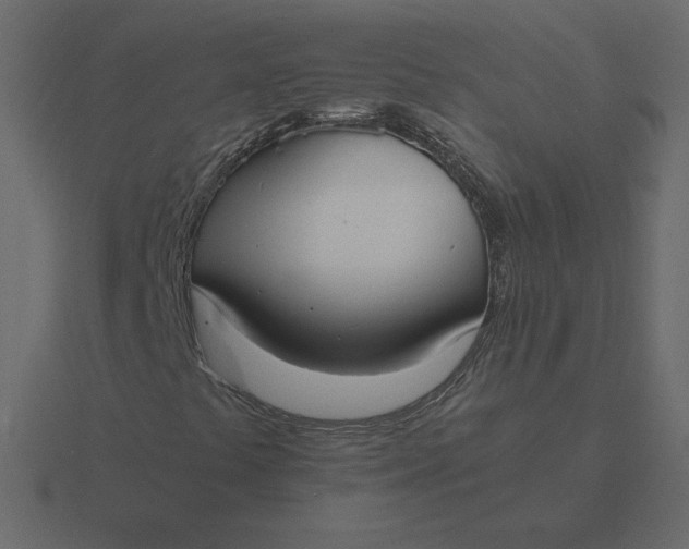 X0000116581441200912241645