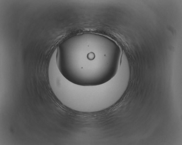 X0000116581444200912241645