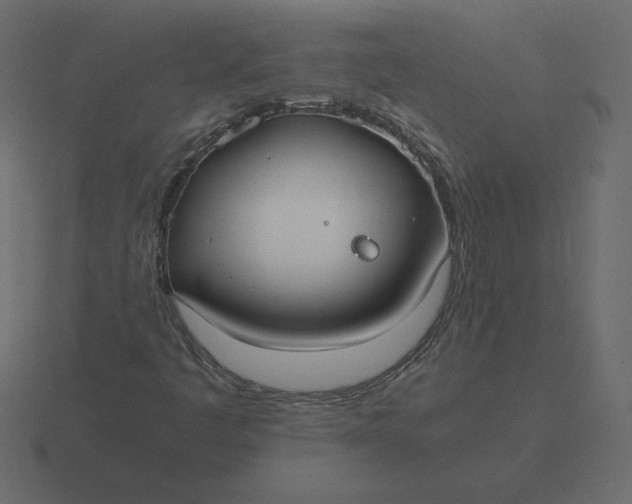 X0000116581445200912241645