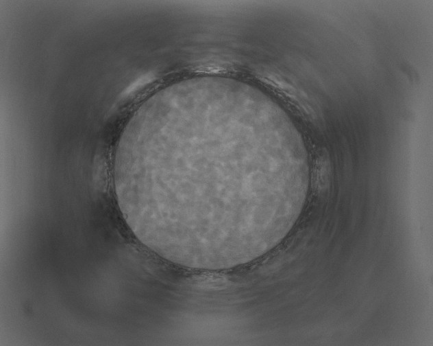 X0000116581446200912241645