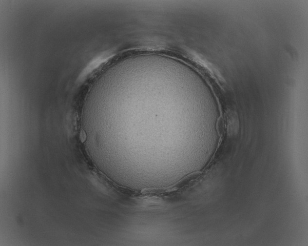 X0000116581448200912241645