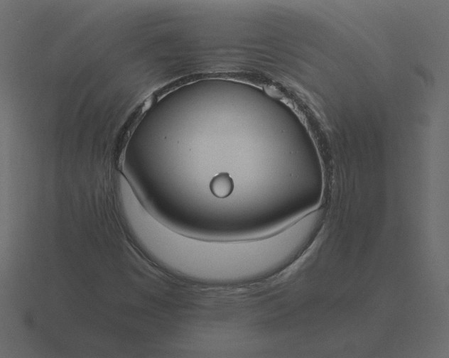 X0000116581449200912241645