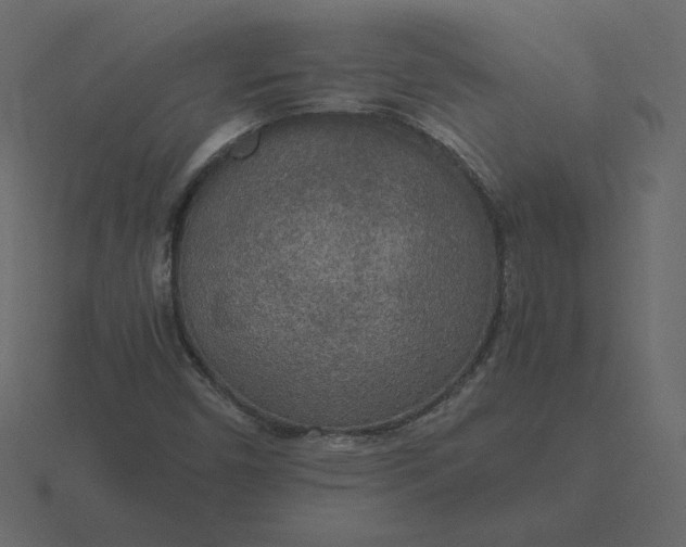 X0000116581450200912241645