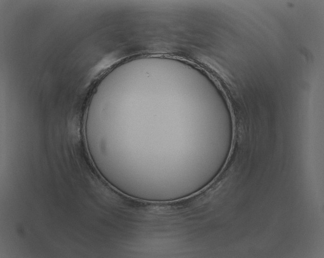 X0000116581451200912241645