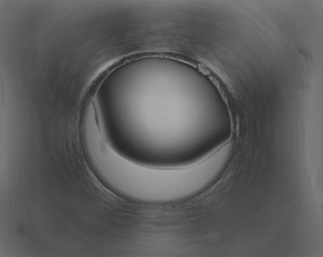 X0000116581452200912241645