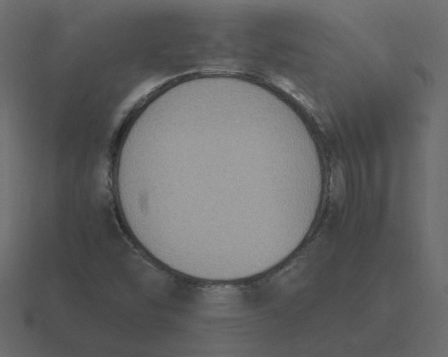 X0000116581454200912241645