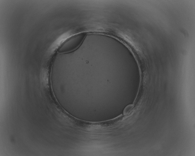 X0000116581455200912241645