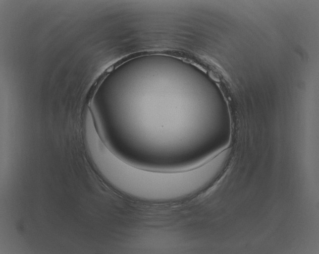 X0000116581457200912241645