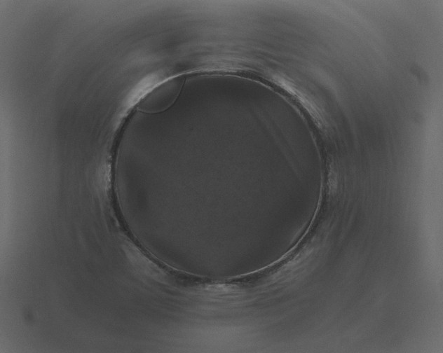 X0000116581459200912241645