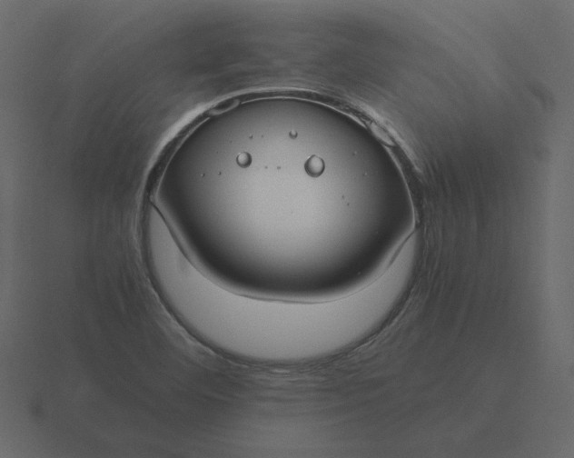 X0000116581460200912241645