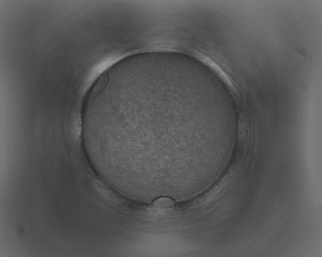 X0000116581461200912241645