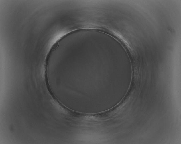 X0000116581463200912241645