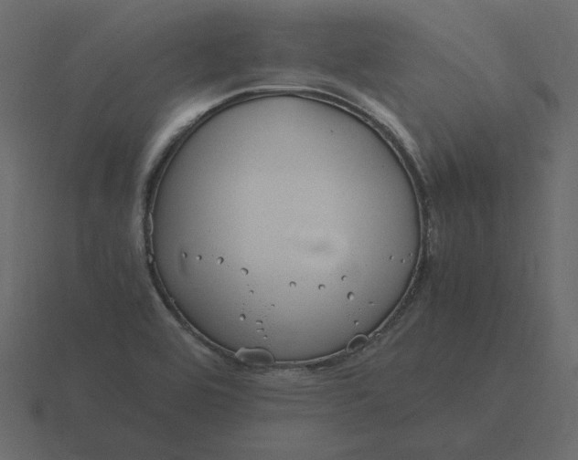 X0000116581464200912241645