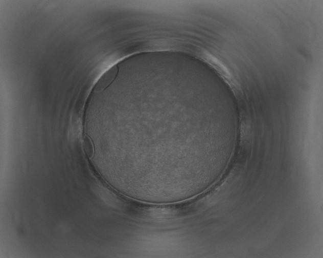 X0000116581465200912241645