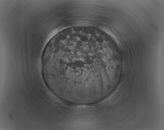 X0000116581467200912241645