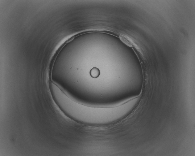 X0000116581468200912241645