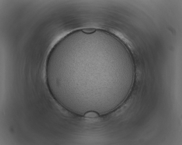 X0000116581469200912241645