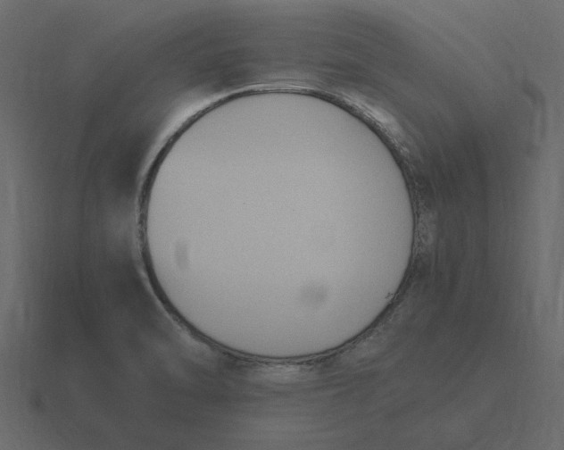 X0000116581470200912241644