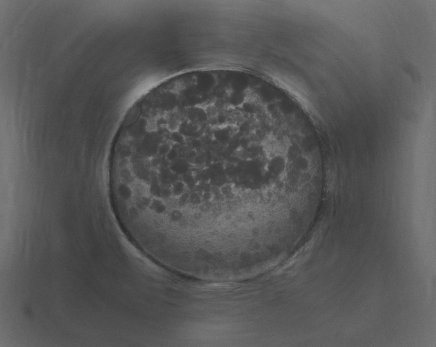 X0000116581471200912241644