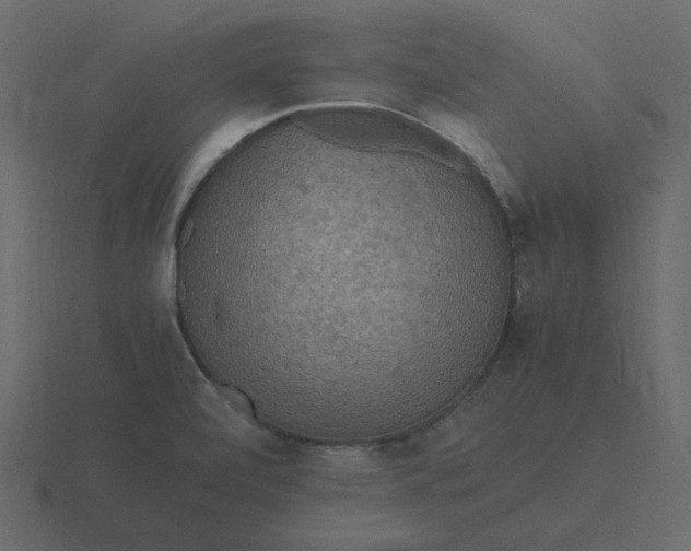 X0000116581472200912241644