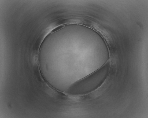 X0000116581473200912241644