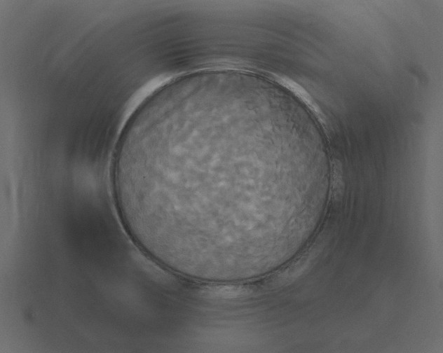 X0000116581474200912241644