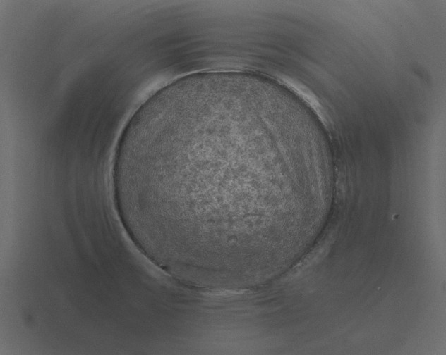 X0000116581475200912241644