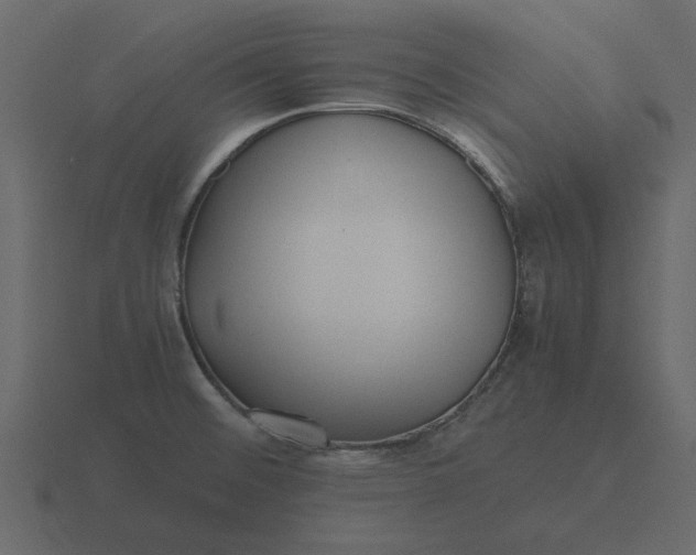 X0000116581476200912241644