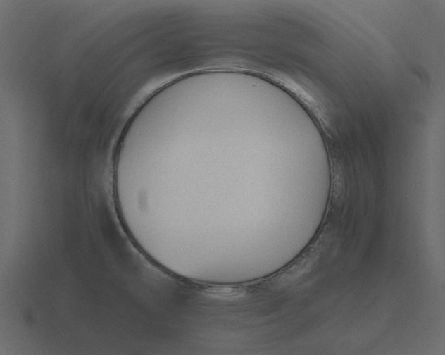 X0000116581478200912241644