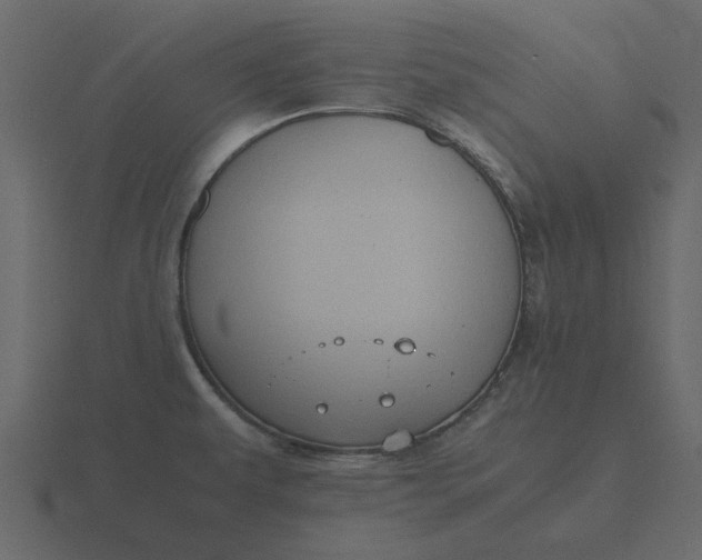 X0000116581479200912241644