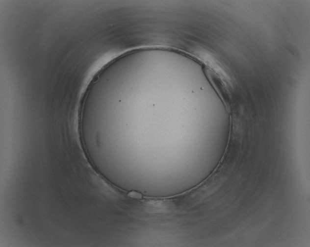 X0000116581480200912241644