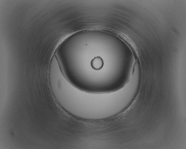 X0000116581481200912241644