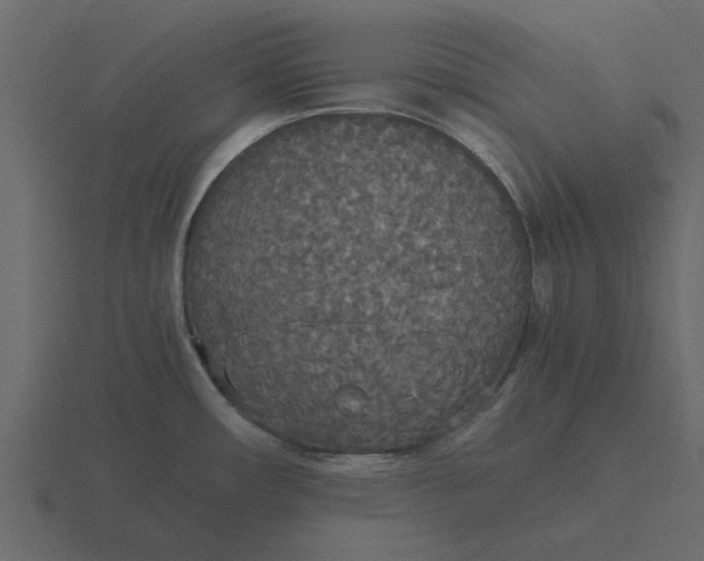 X0000116581482200912241644