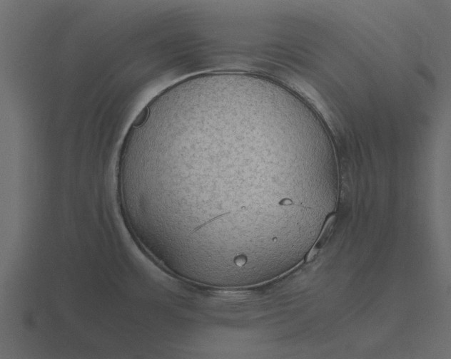 X0000116581483200912241644