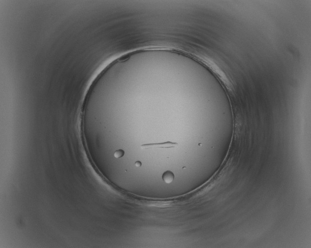 X0000116581484200912241644