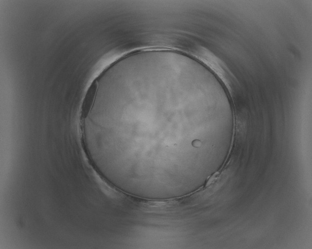 X0000116581485200912241644