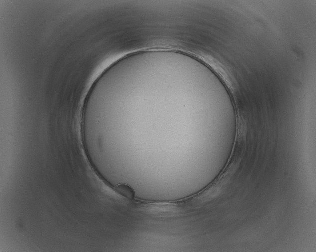 X0000116581486200912241644